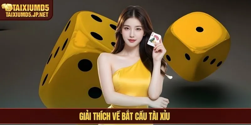 Giải thích về bắt cầu tài xỉu 