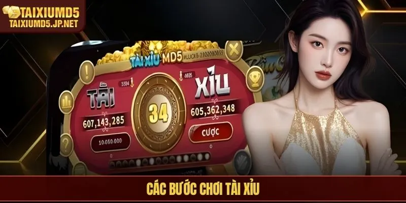 Các bước chơi tài xỉu