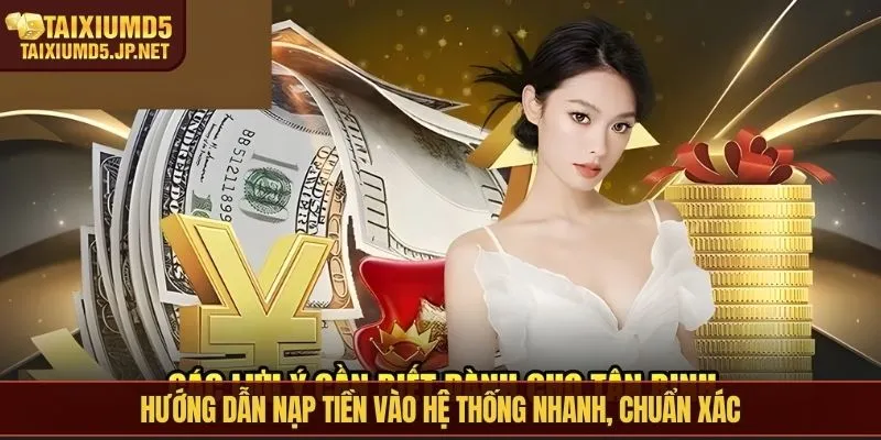 Hướng dẫn nạp tiền vào hệ thống nhanh, chuẩn xác