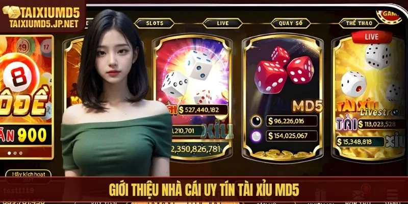 Giới thiệu nhà cái uy tín Tài Xỉu MD5