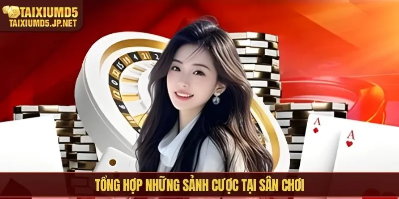 Tổng hợp những sảnh cược tại sân chơi