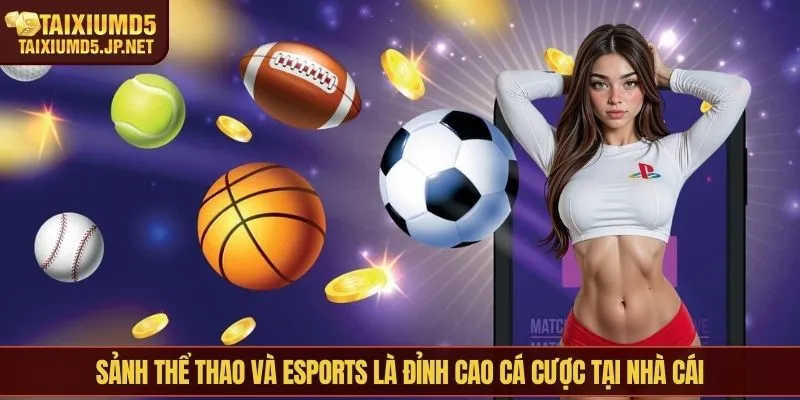 Sảnh thể thao và esports là đỉnh cao cá cược tại nhà cái