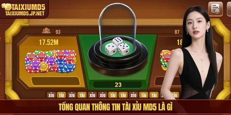 Tổng quan thông tin tài xỉu md5 là gì